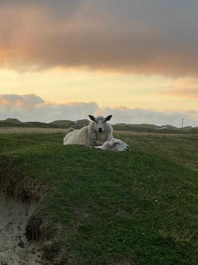 Fresh Ved Borestranden Med To Soverom Og Hems Holiday home *